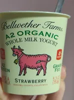 A2 Organic Yogurt