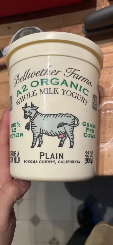 WHOLE MILK YOGURT
