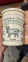 WHOLE MILK YOGURT