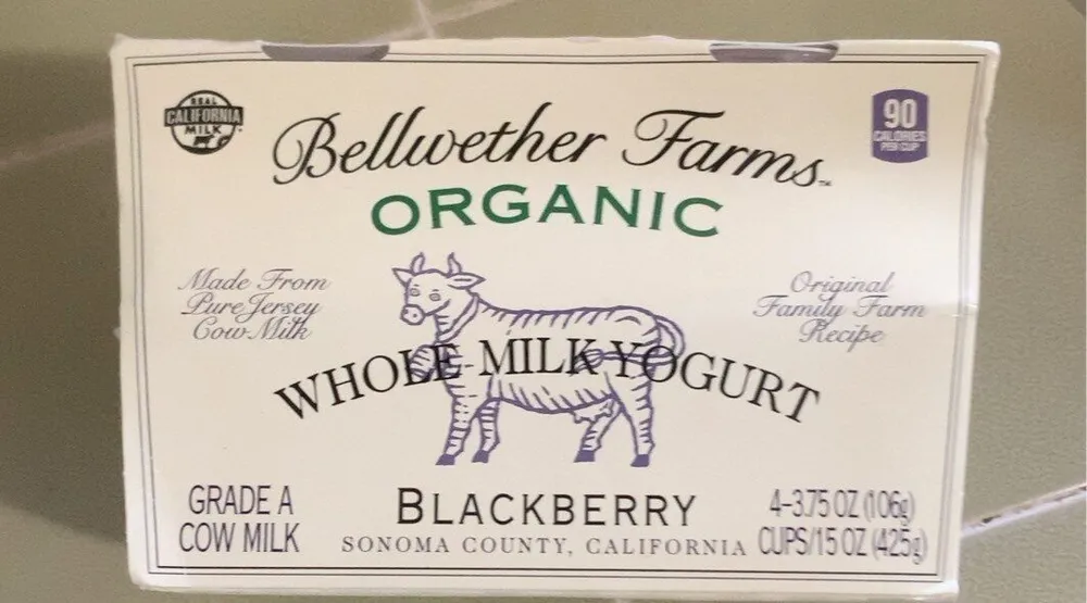 Whole milk yogurt blackberry