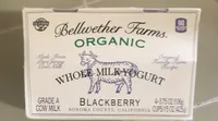 Whole milk yogurt blackberry