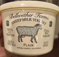 Plain Sheep Milk Yogurt