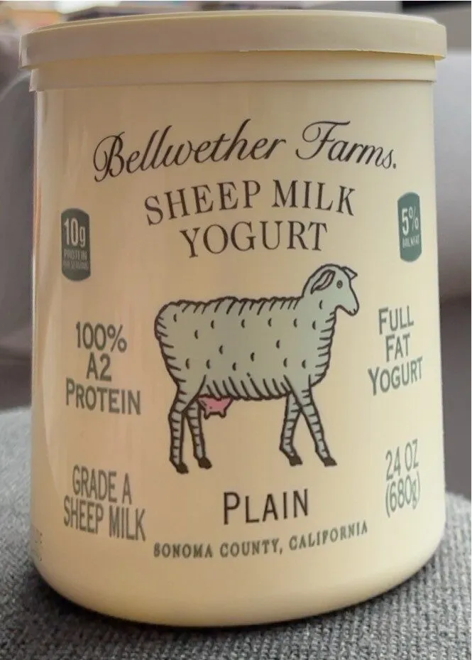 Sheep Milk Yogurt Plain