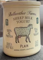 Sheep Milk Yogurt Plain