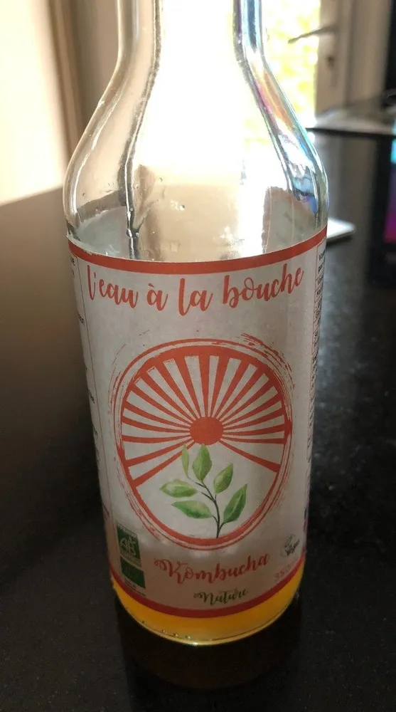 Kombucha nature