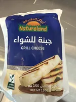 Grill Cheese