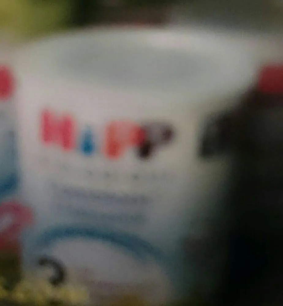 Hipp