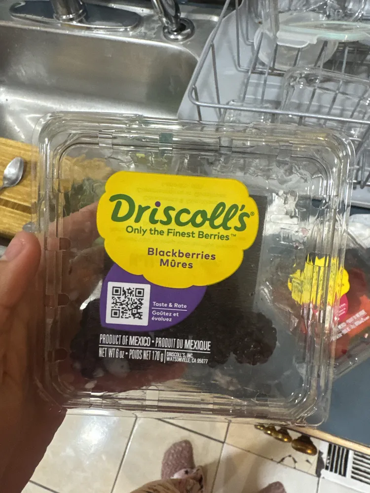 Blackberries