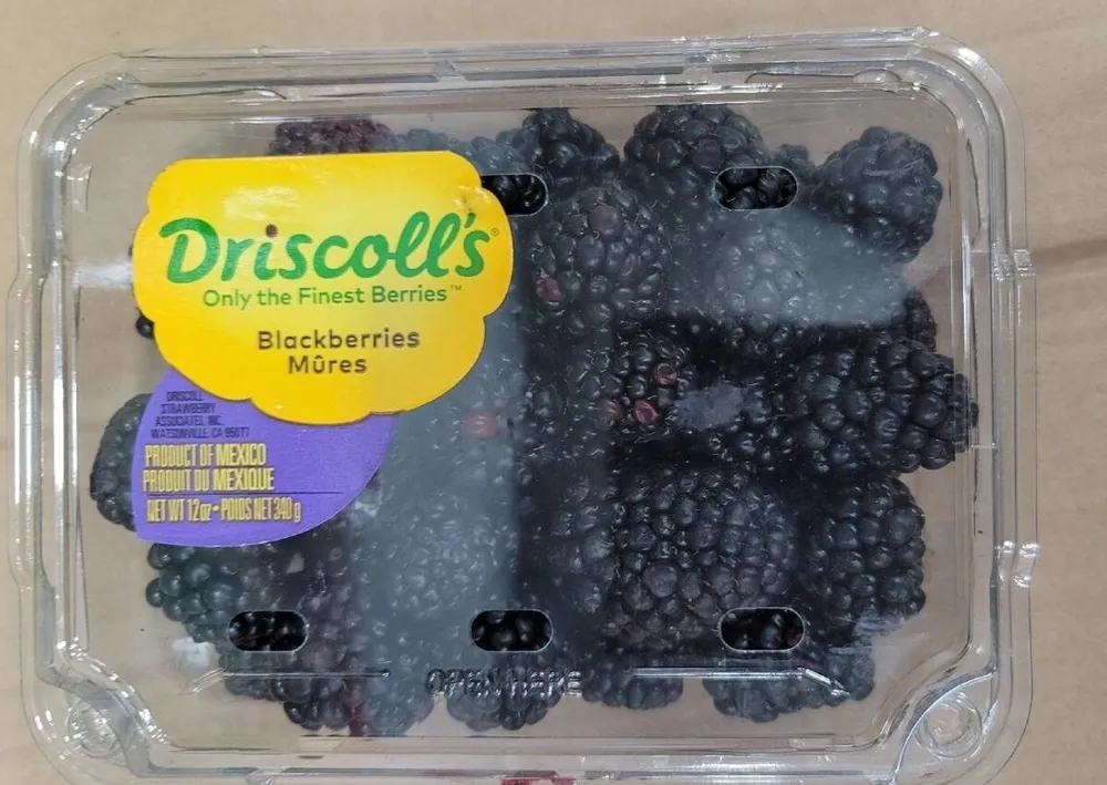 Blackberry