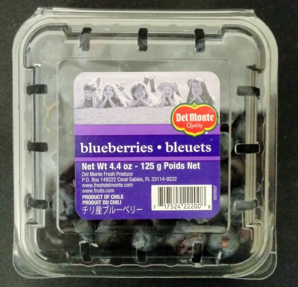 Blueberries • Bleuets