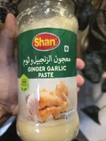 Ginger Garlic Paste