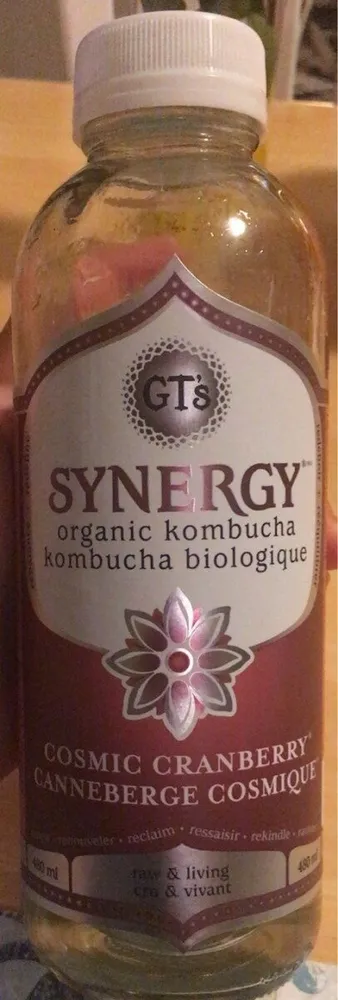 Organic Kombucha Cosmic Cranberry