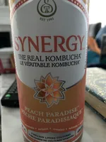 kombucha cru - Pêche Paradisiaque