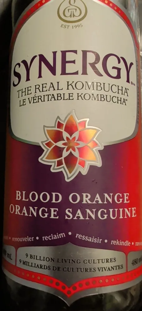 Blood Orange kombucha
