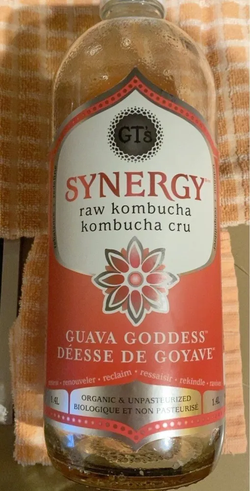 Raw Kombucha