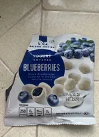 Yogurt Covered Blueberries