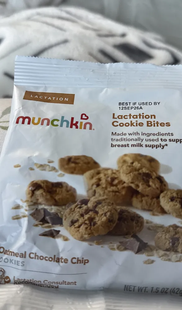 Oatmeal chocolate chip lactation cookies
