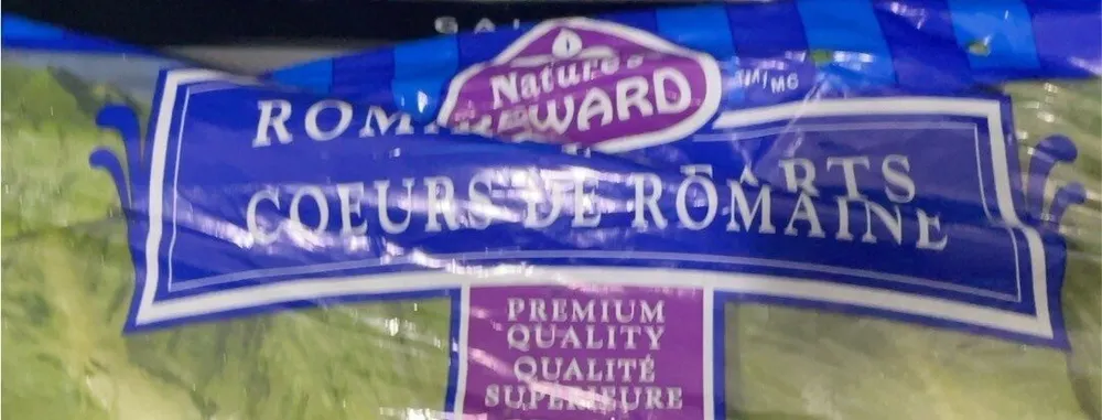 Romain hearts