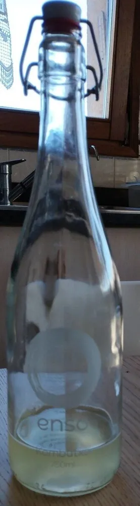 Beguda fermentada