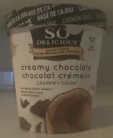Cashewmilk Non-Dairy Frozen Dessert Creamy Chocolate