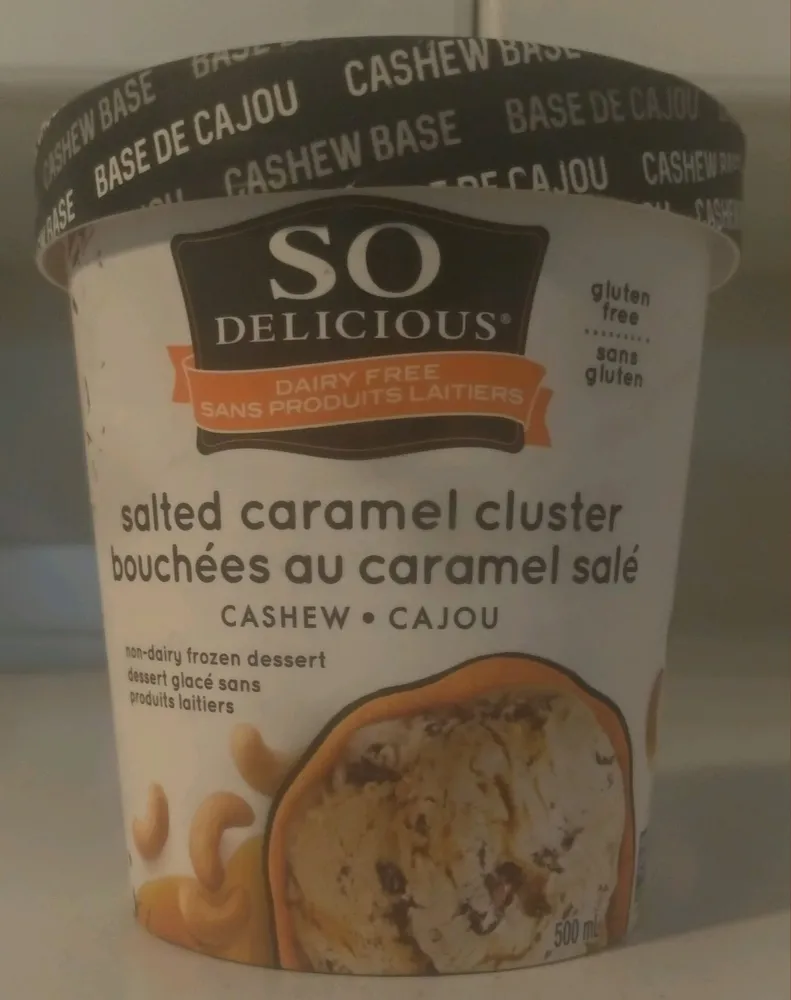 CASHEW BASE NON-DAIRY FROZEN DESSERT