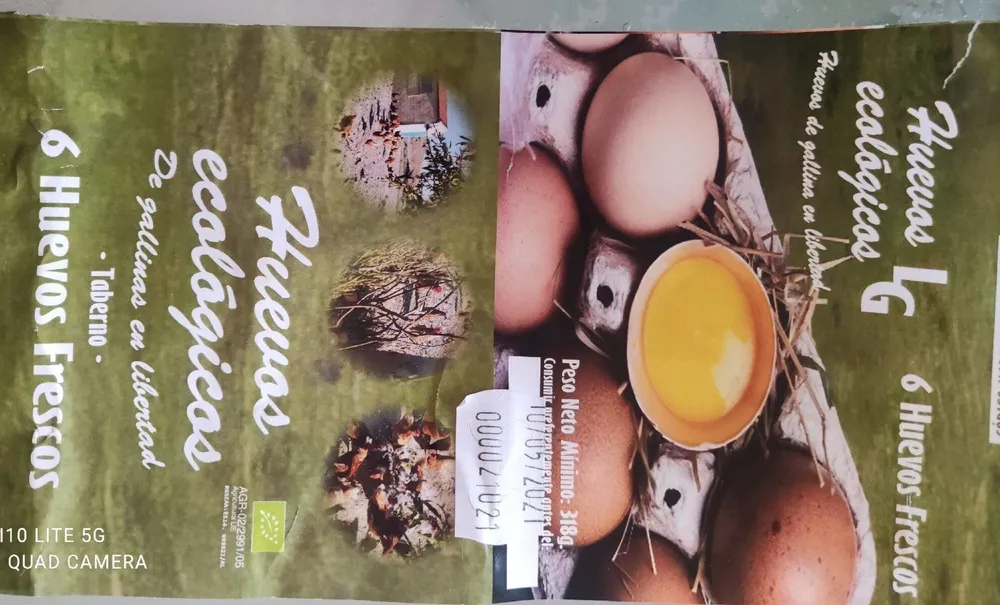 Huevos ecológicos
