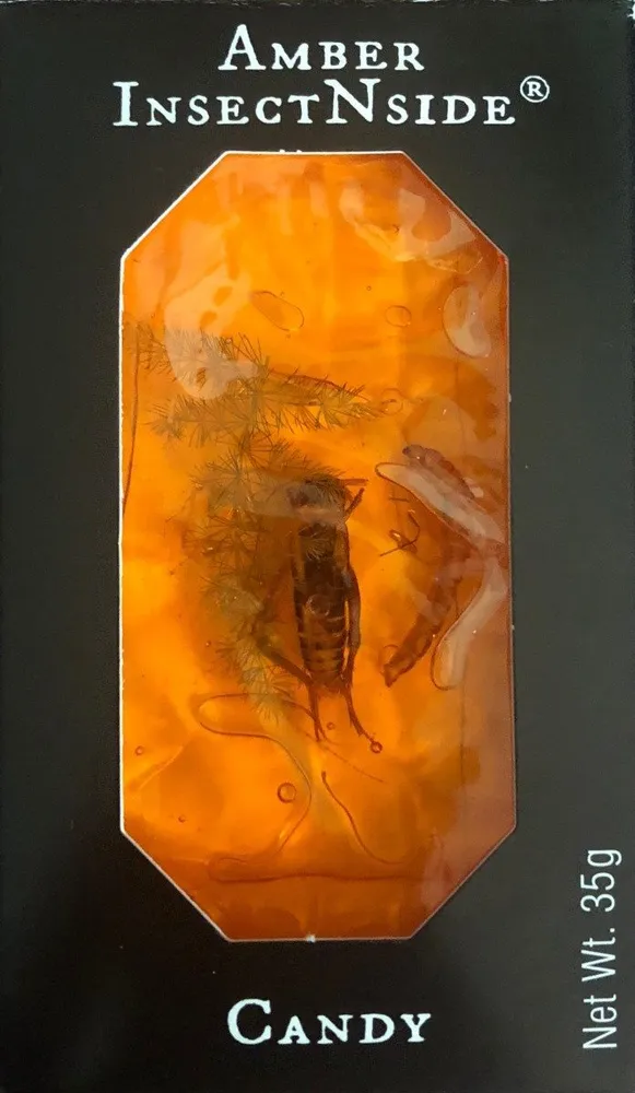 Amber Insectnside Candy