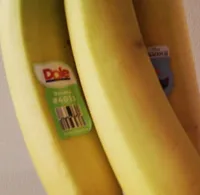 Bananas, 4011