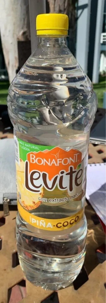 Levite