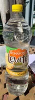 Levite