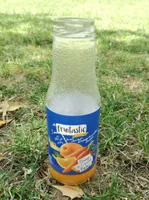 Orange et carrot nectar