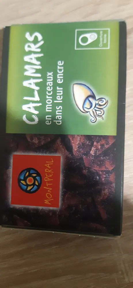 CALAMARS en morceaux dans leur encre