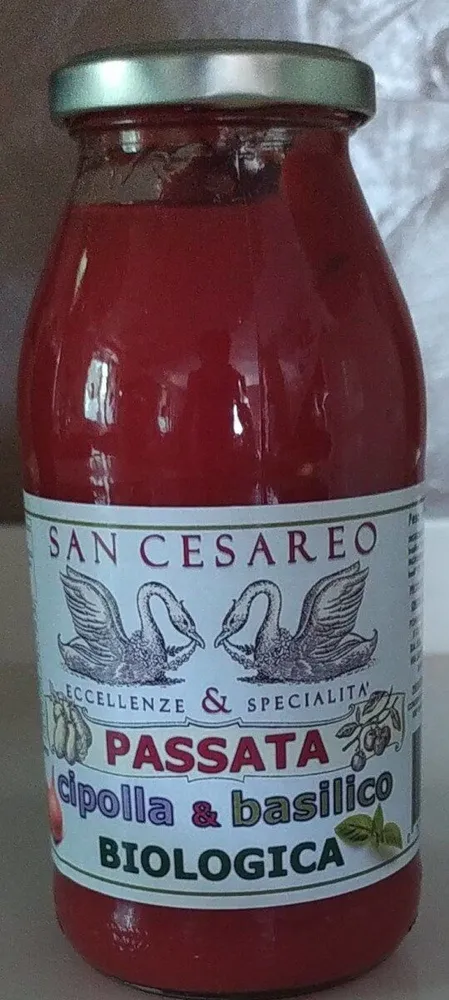 Passata cipolla e basilico