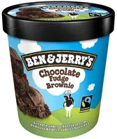 Sorvete Chocolate Fudge Brownie Ben Jerrys Pote 458ml