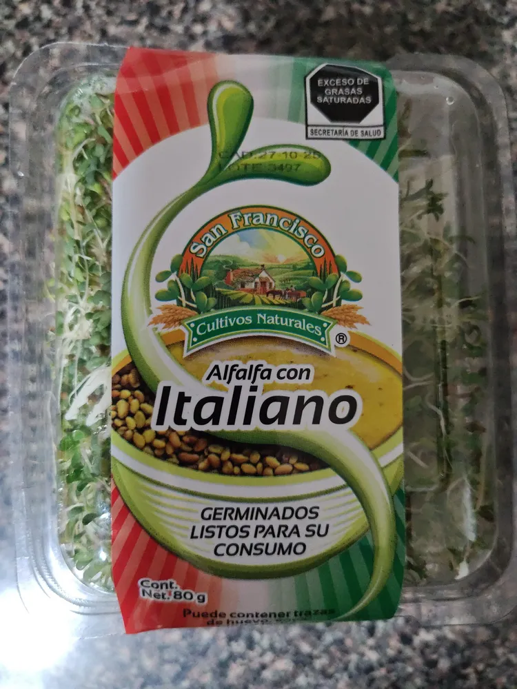 Alfalfa con Italiano