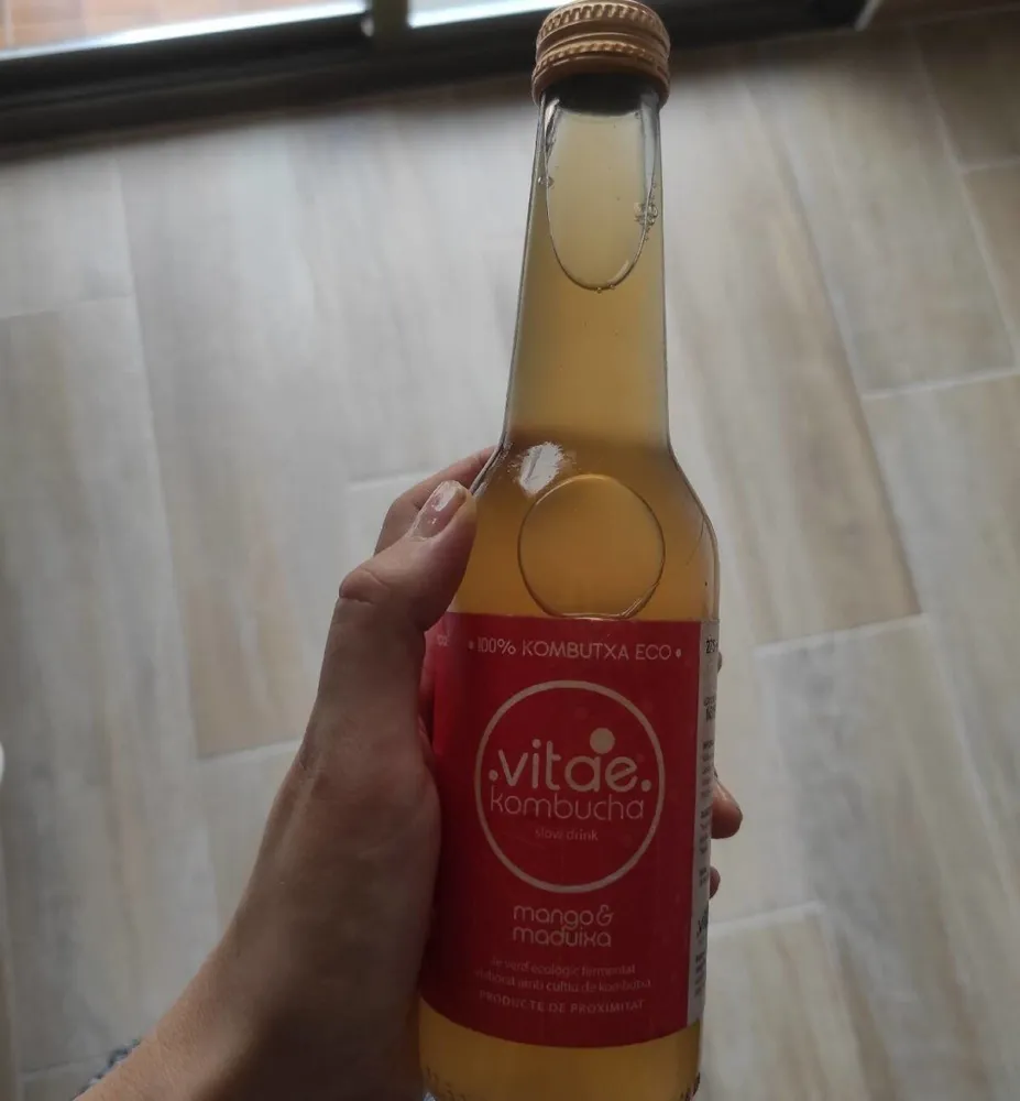 kombucha mango & maduixa