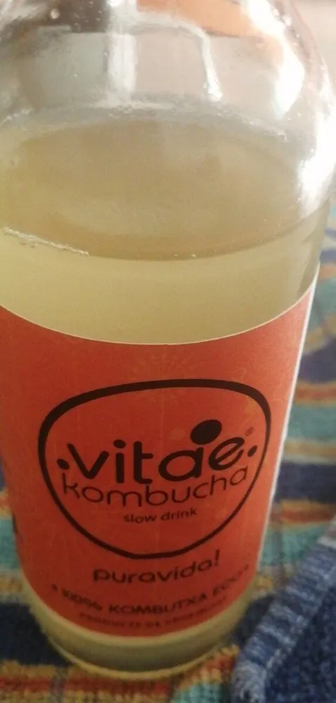 Kombucha