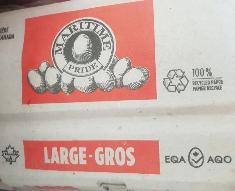 Large Chicken Eggs