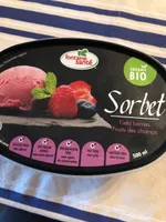 Sorbet fruits des champs
