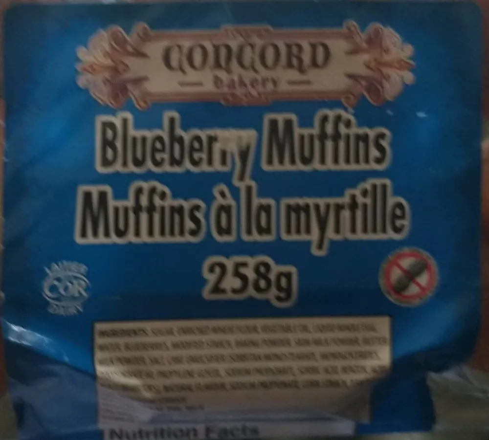 Blueberry Muffins
