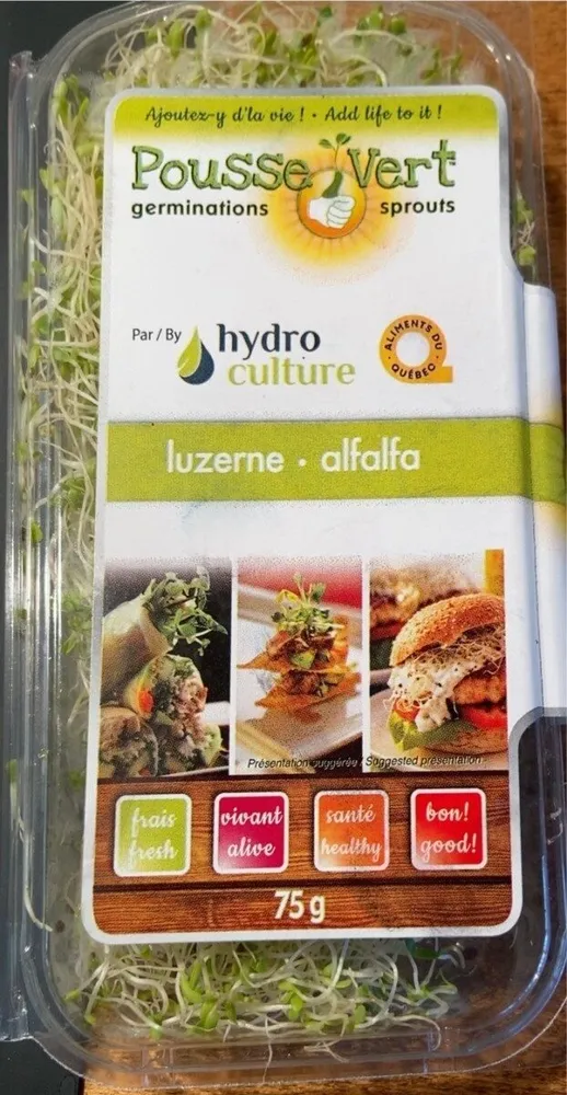 Alfafa