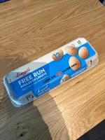 Large Free Run Eggs