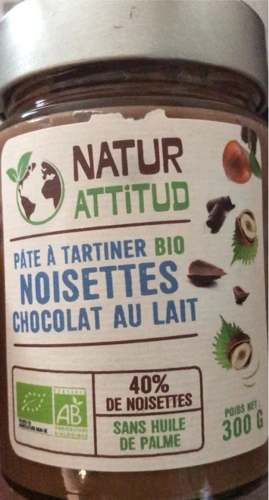 Pate a tartiner noisettes et chocolat au lait