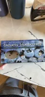Bleuets frais enrobés de chocolat