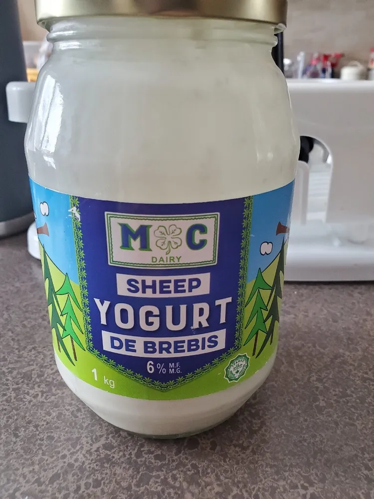 Sheep Yogurt