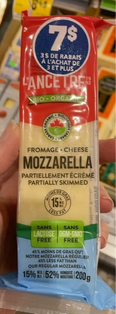 Mozzarella