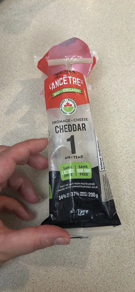 Cheddar 1 an