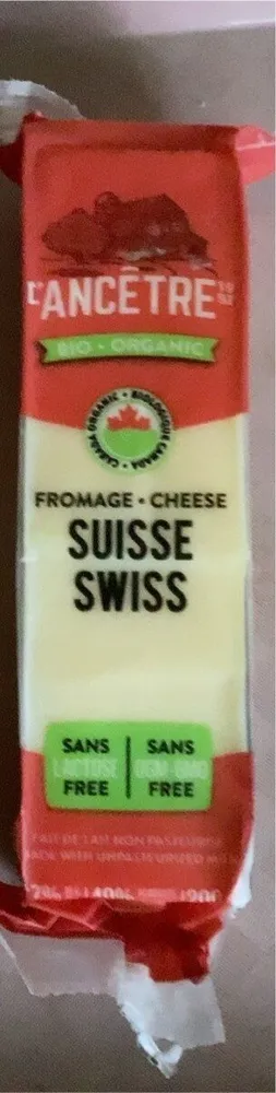 Swiss cheese