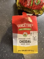 Cheddar