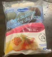 Peru scallops